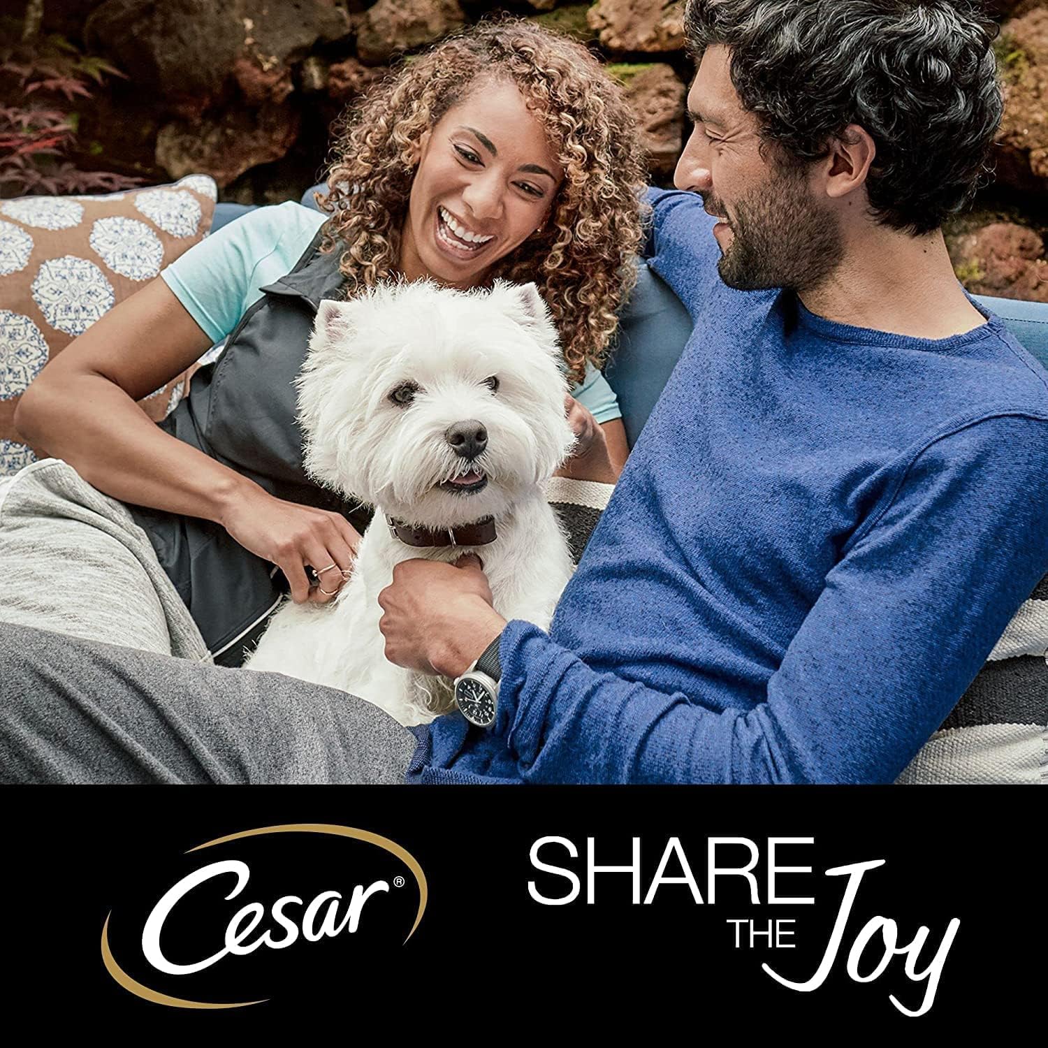 Cesar Hunde Nassfutter 40 x 100 g Selektion in Sauce - verschiedene Sorten