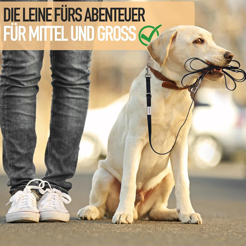 3 m verstellbare Hundeleine 4-fach wasserfest schmutzabweisend fuer grosse Hunde
