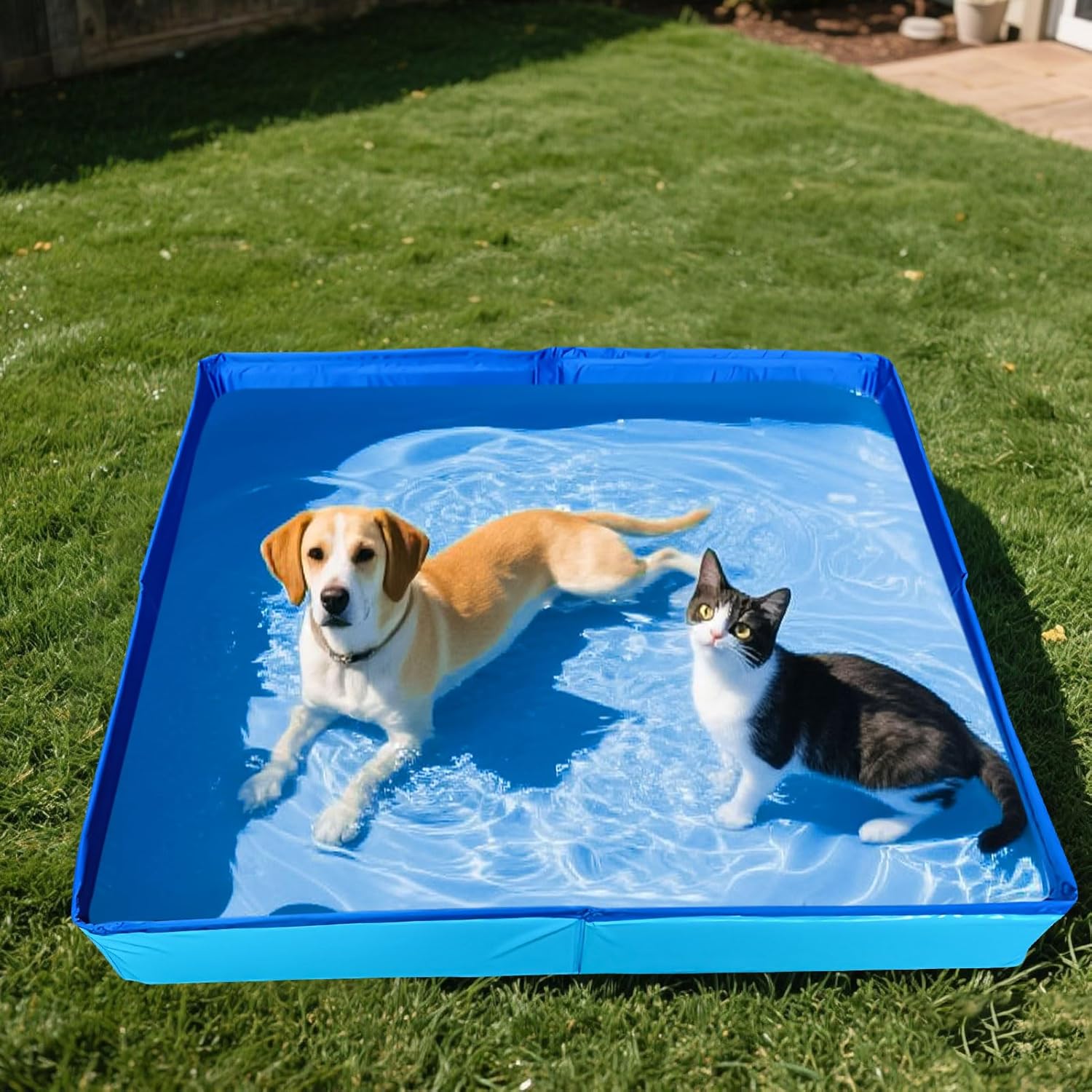 Faltbarer Hundepool 50x50x10 cm aus PVC mit 6 Fischspielzeug fuer kleine Hunde Ka