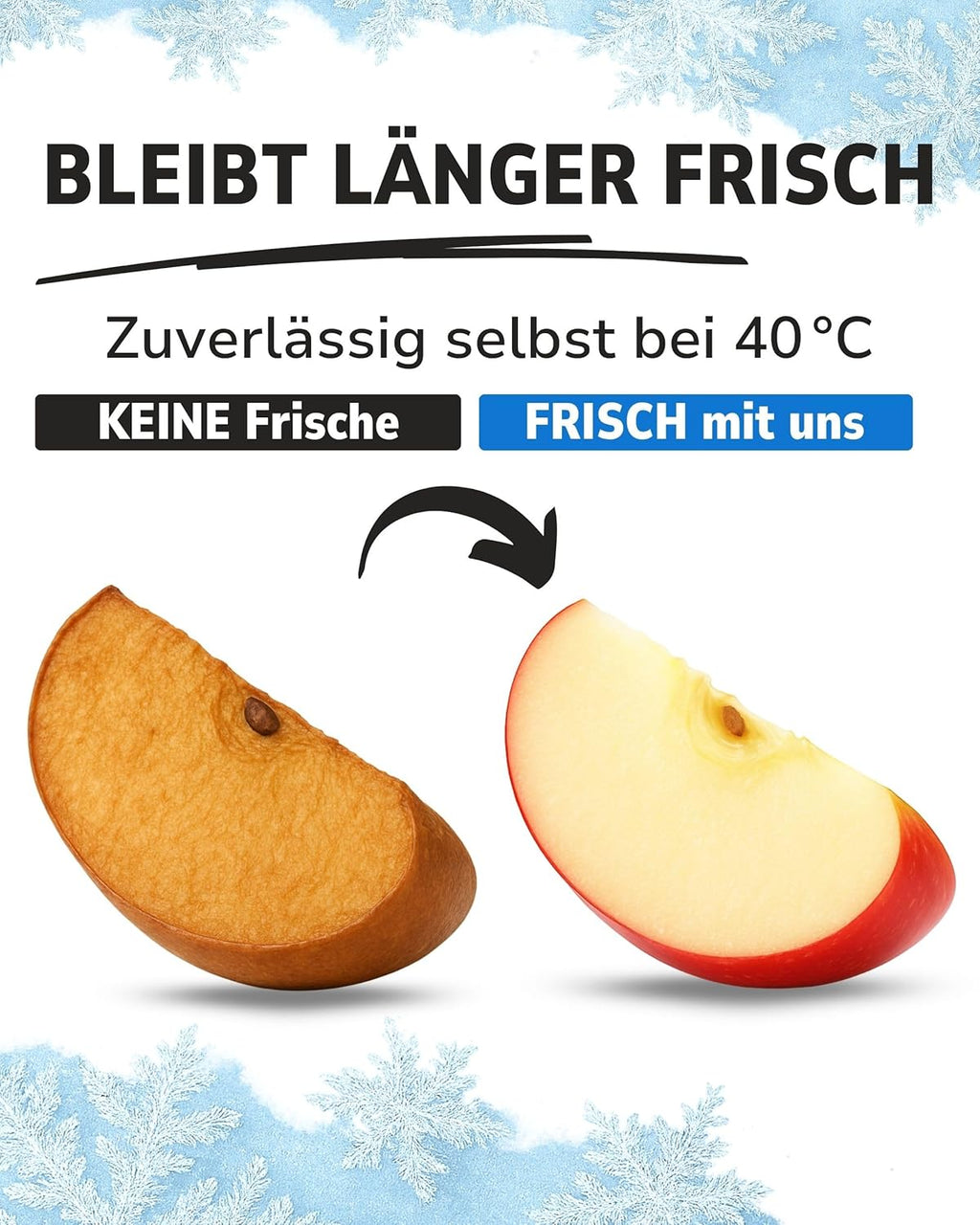 ToCi Kuehlakkus Mini Kuehlelemente fuer Kuehltasche Kuehlbox Brotdose Lunchbox