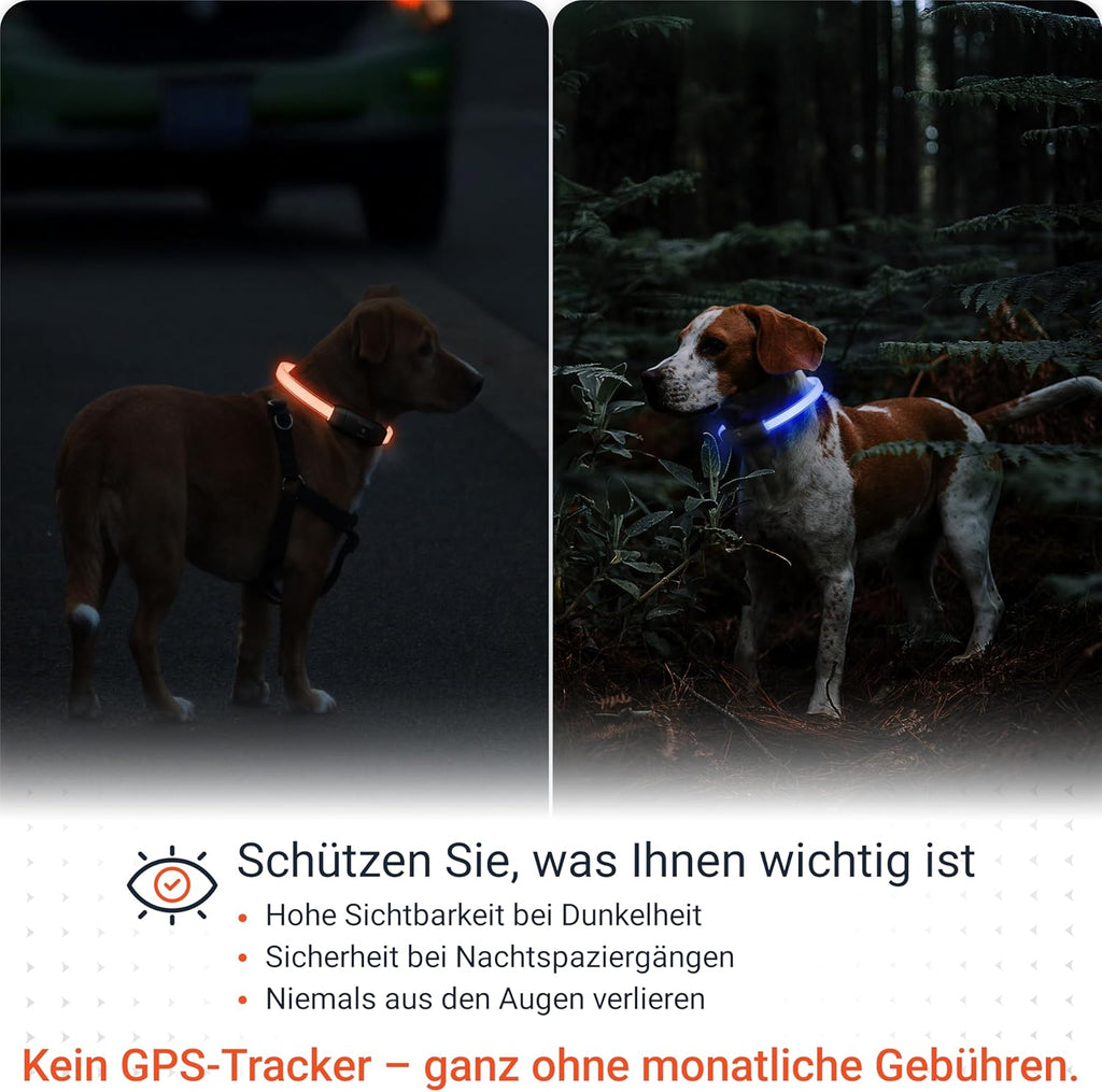 PAJ Light LED Hundehalsband cm verstellbar wasserfest schwarz, 7 Farben
