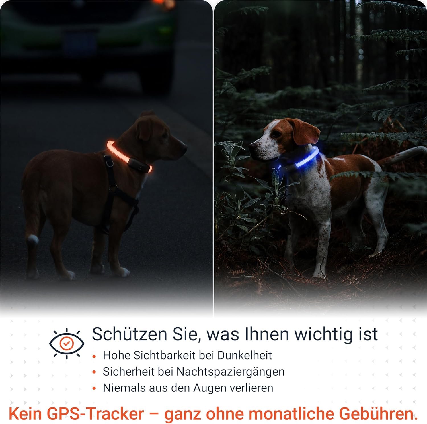 PAJ Light LED Hundehalsband cm verstellbar wasserfest schwarz, 7 Farben