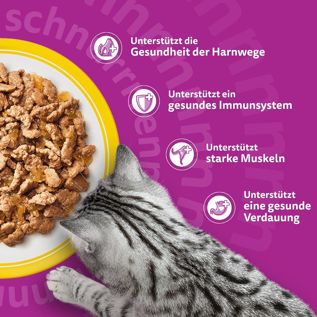 Whiskas Senior 7+ Nassfutter verschiedene Sorten 12 x (4er Pack)