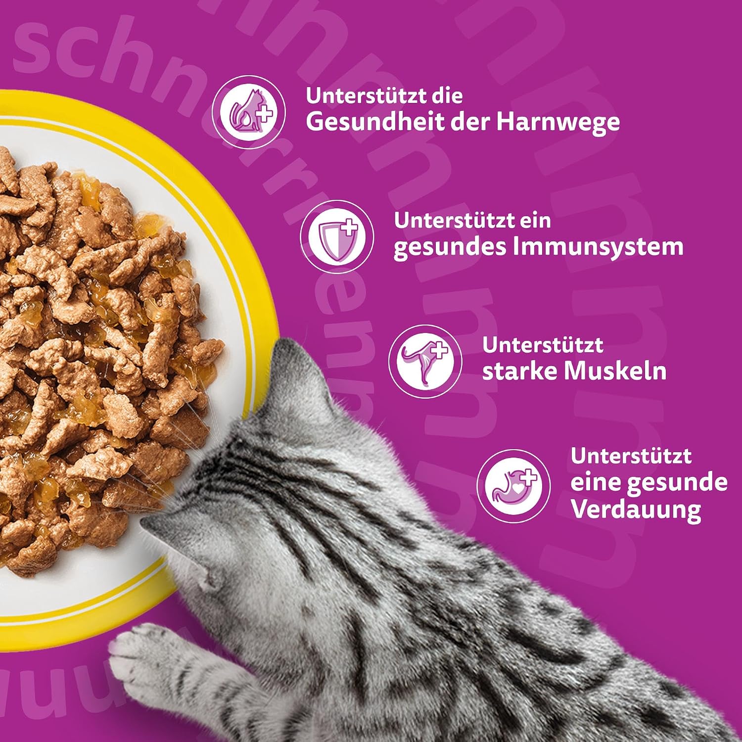 Whiskas Senior 7+ Nassfutter verschiedene Sorten 12 x (4er Pack)