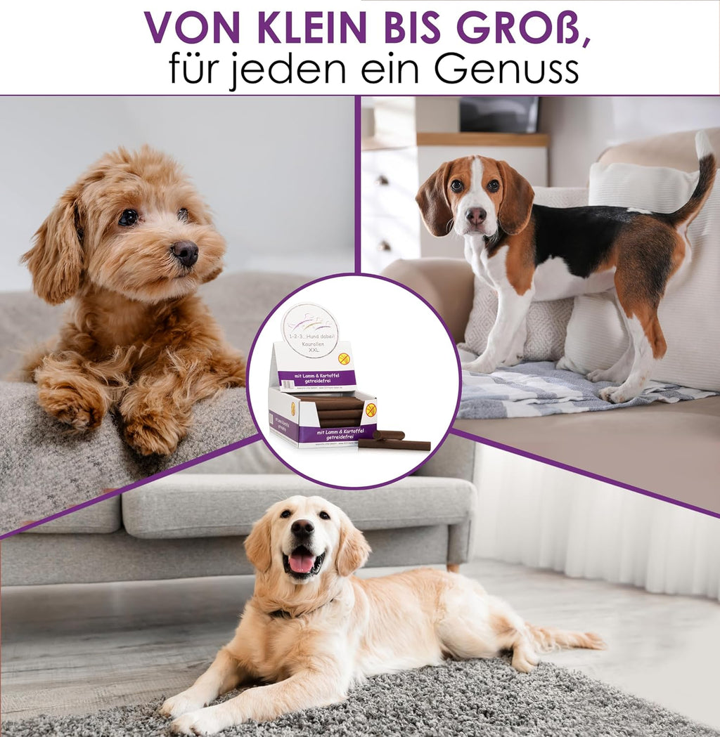 Dentalkaurolle Kaurollen XXL 50er Tray Kaustangen fuer Hunde verschiedene Sorten