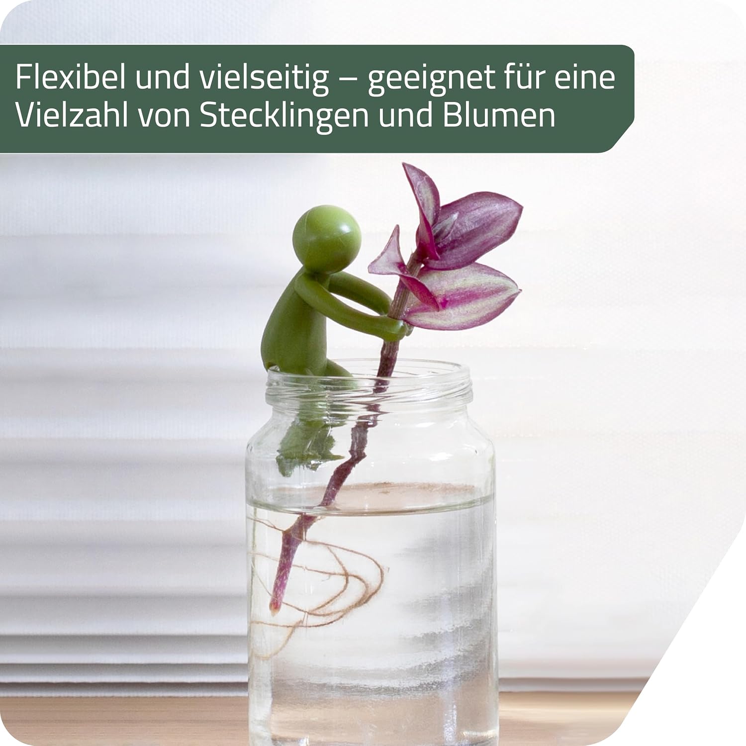 Leafriend Pflanzenhalter 3er Set fuer Stecklinge und Triebe Indoor