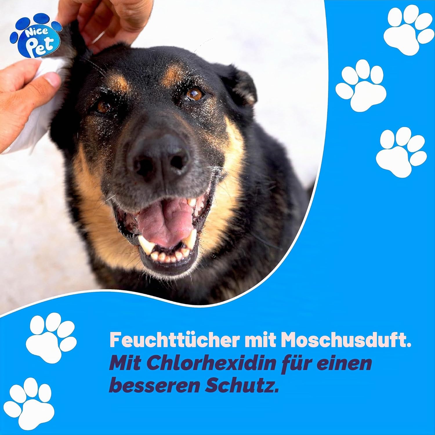 Nice Pet Reinigungstuecher fuer Hunde und Katzen mit Chlorhexidin 100 Stueck