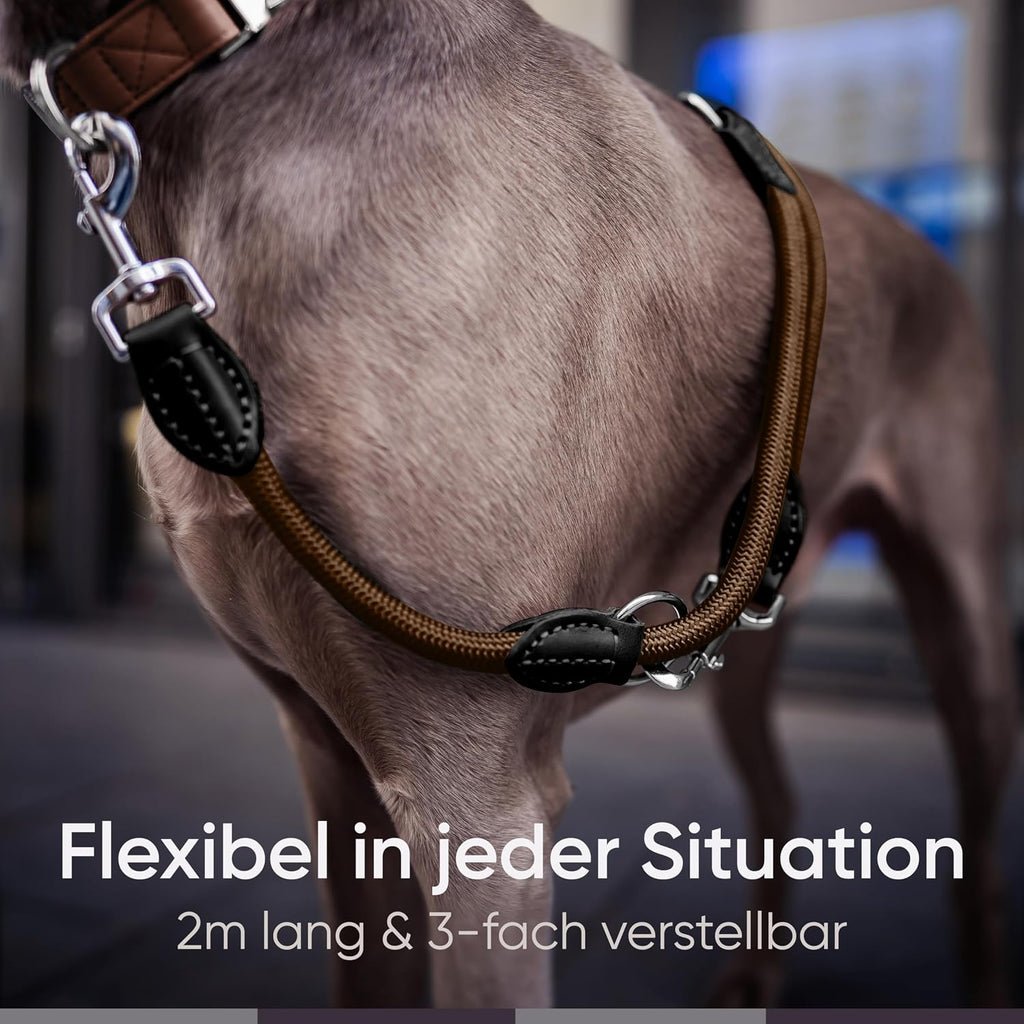 Freudentier verstellbare Hundeleine Nylon mit Lederoptik Schwarz 2m-3m