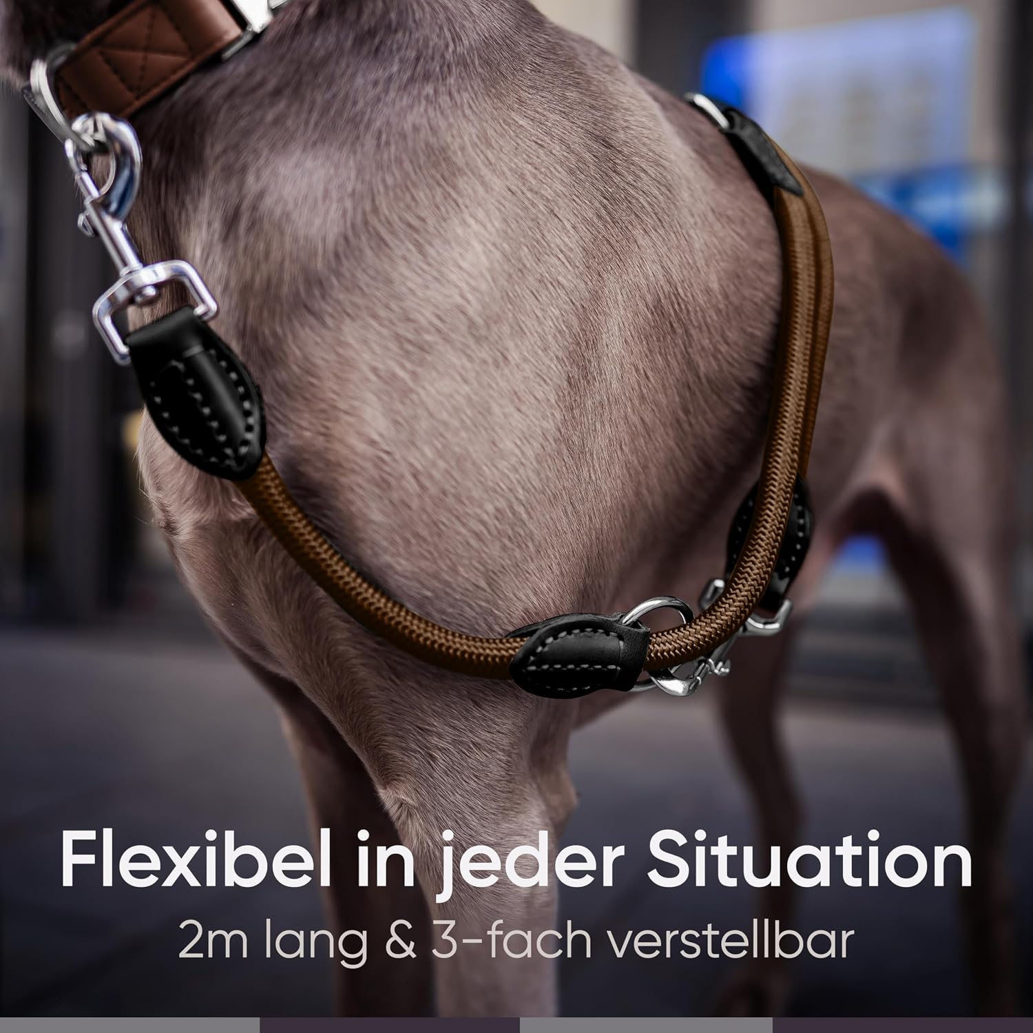 Freudentier verstellbare Hundeleine Nylon mit Lederoptik Schwarz 2m-3m