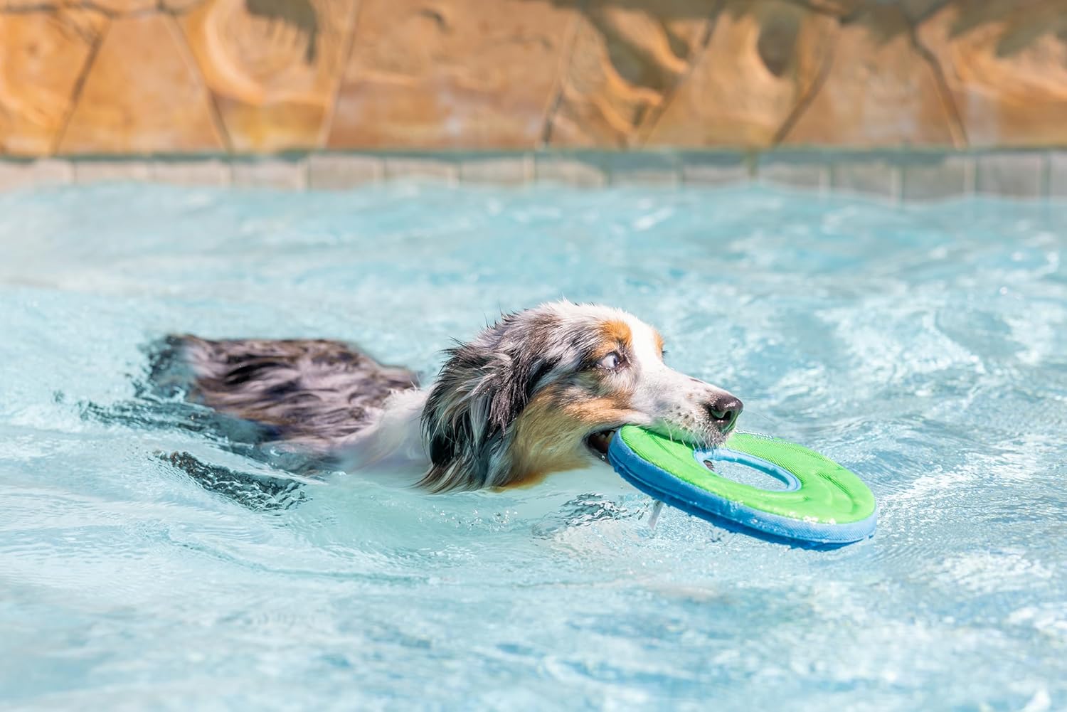 Chuckit! Zipflight Medium Wurfspielzeug Ball Frisbee Hundespielzeug