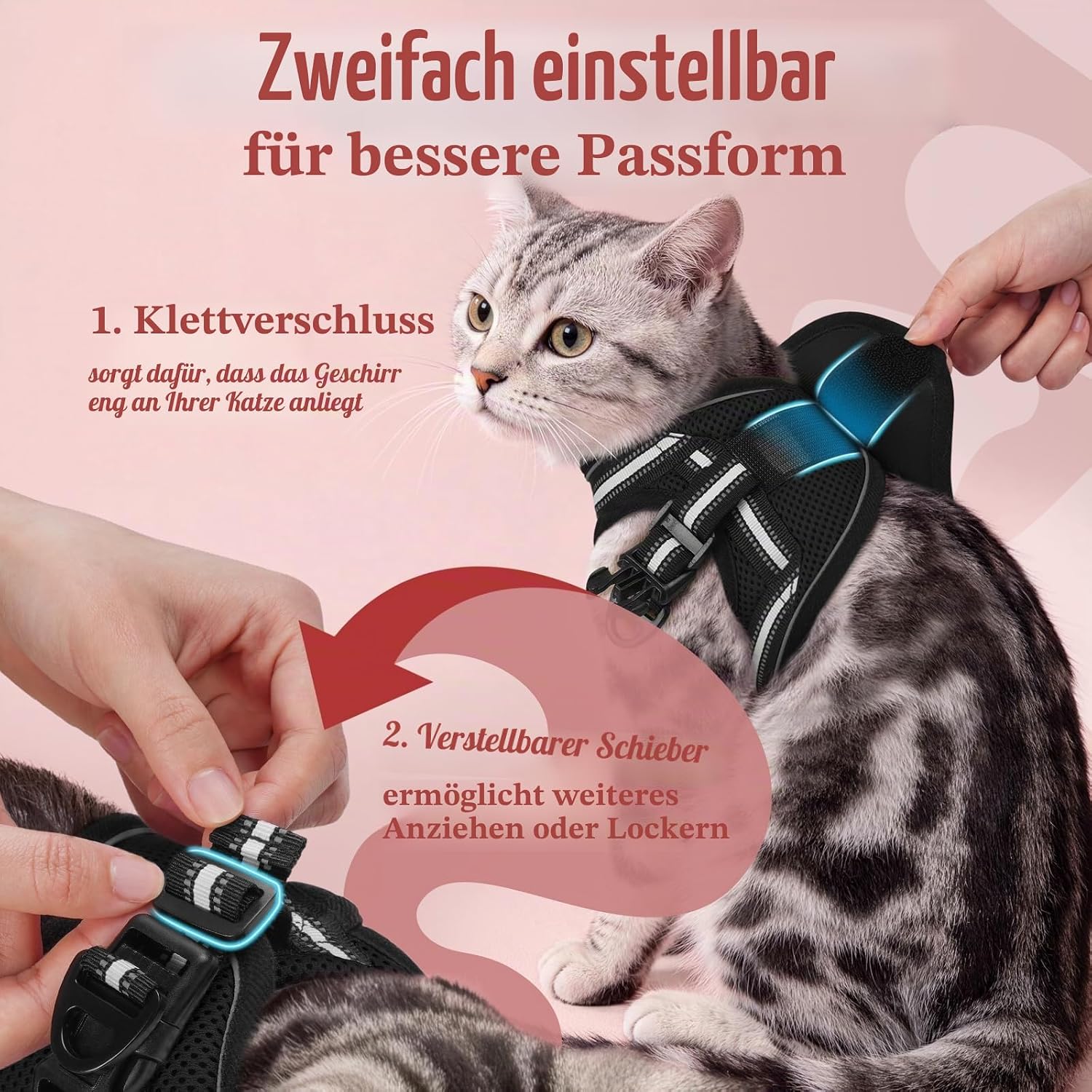 rabbitgoo Katzengeschirr verstellbar ausbruchsicher Schwarz Gr. S Kaetzchen