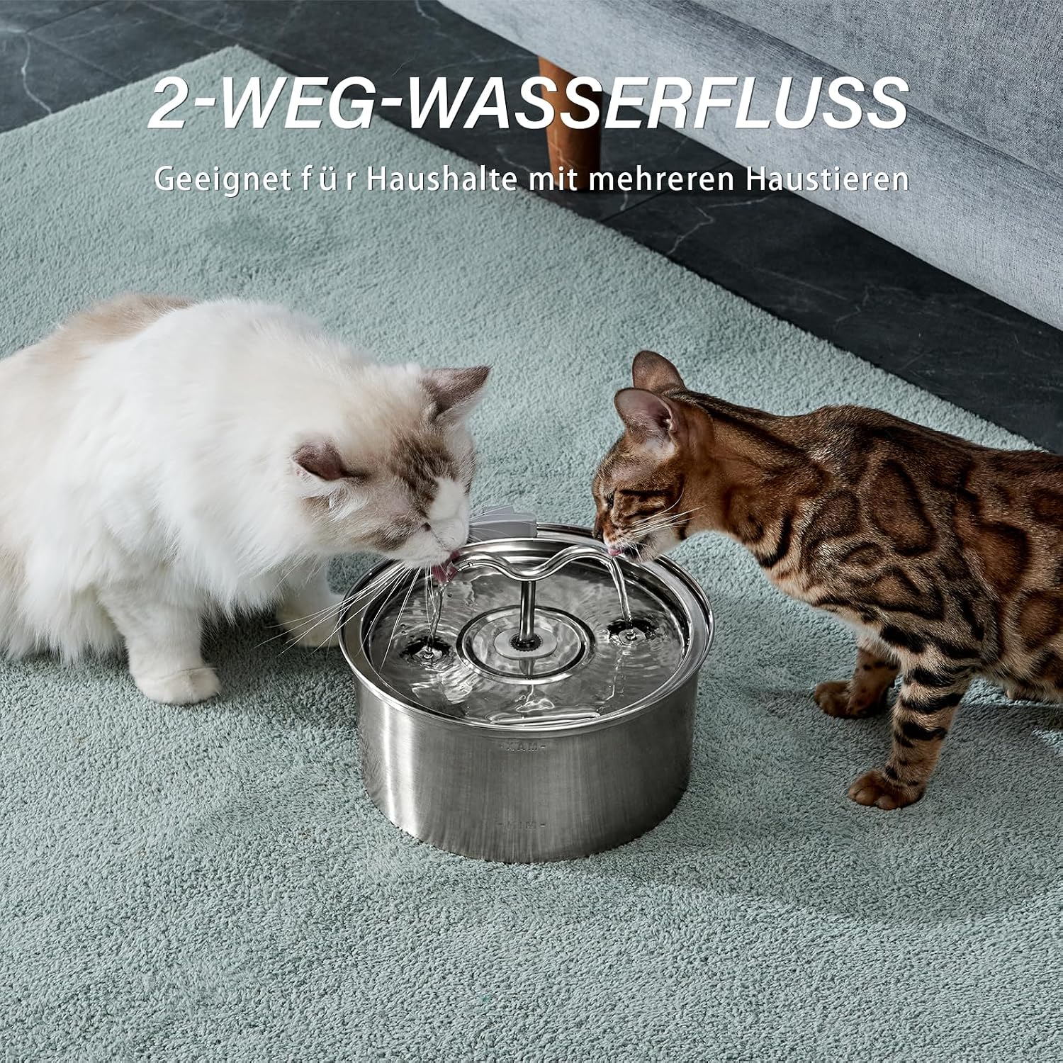 DOOOB Katzentrinkbrunnen Edelstahl 3,2L leise mit Filter und Schwamm