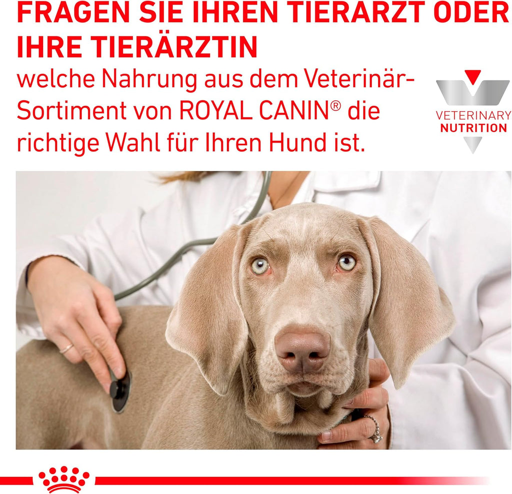 Royal Canin Veterinary Gastrointestinal Mousse 12x200g Hund Komplettnahrung