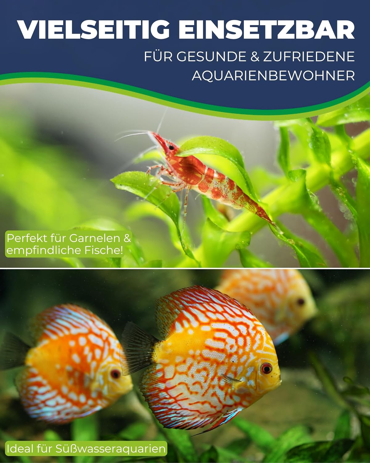 Hobby Catappa Bark Seemandelbaumrinde 12x Aquarium Garnelen Wasserzusatz