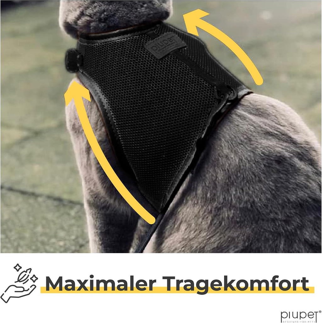 PiuPet Katzengeschirr M mit 1,2 m Leine, Anti-Ausbruch Halsband für Kätzchen