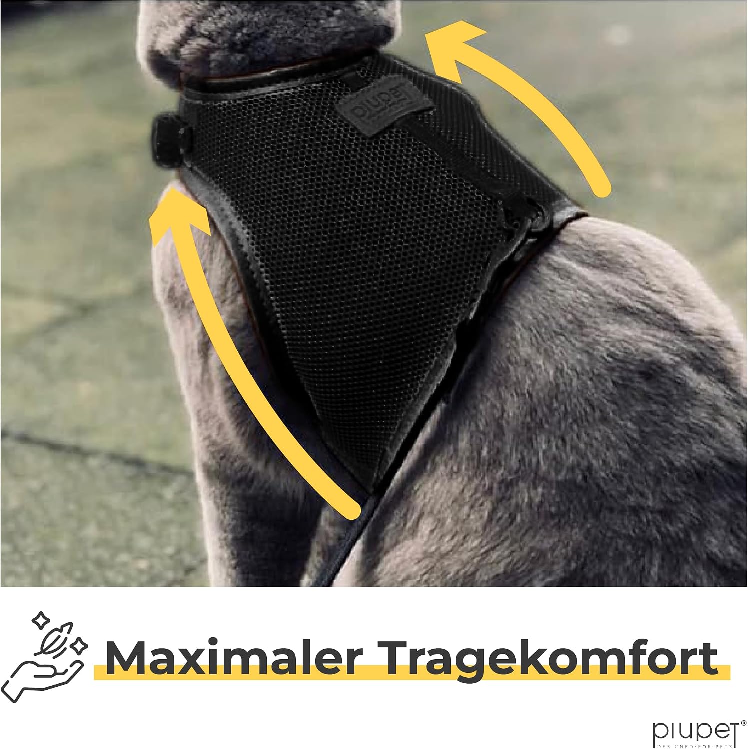 PiuPet Katzengeschirr M mit 1,2 m Leine, Anti-Ausbruch Halsband für Kätzchen