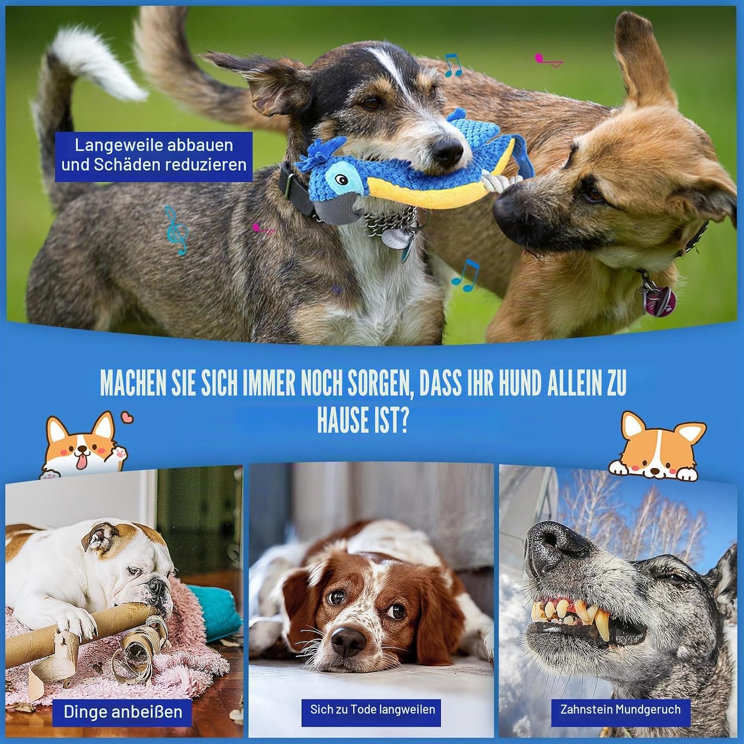 ROSAUI Hundespielzeug Pluesch mit Quietscher und Knisterpapier fuer Welpen