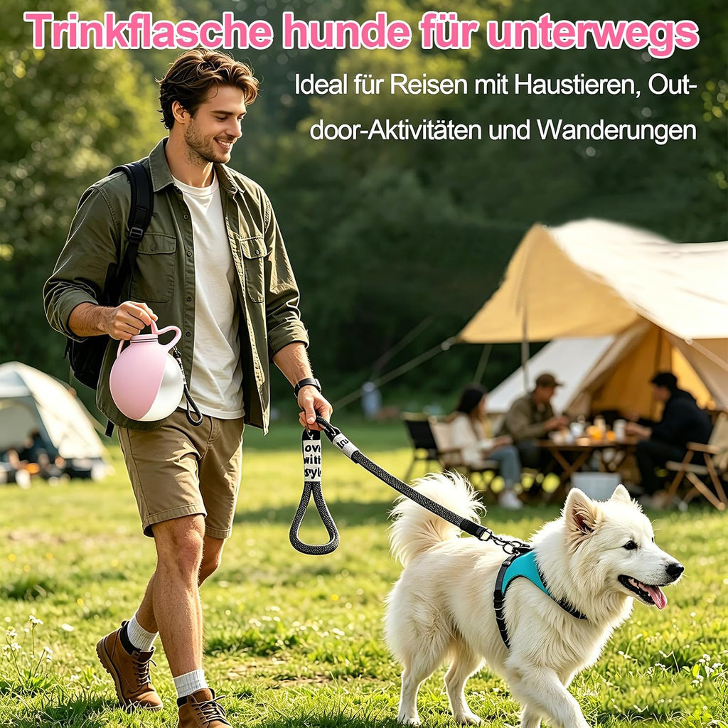 Hunde Trinkflasche 285 ml aus Edelstahl mit faltbarem Silikonnapf, auslaufsicher