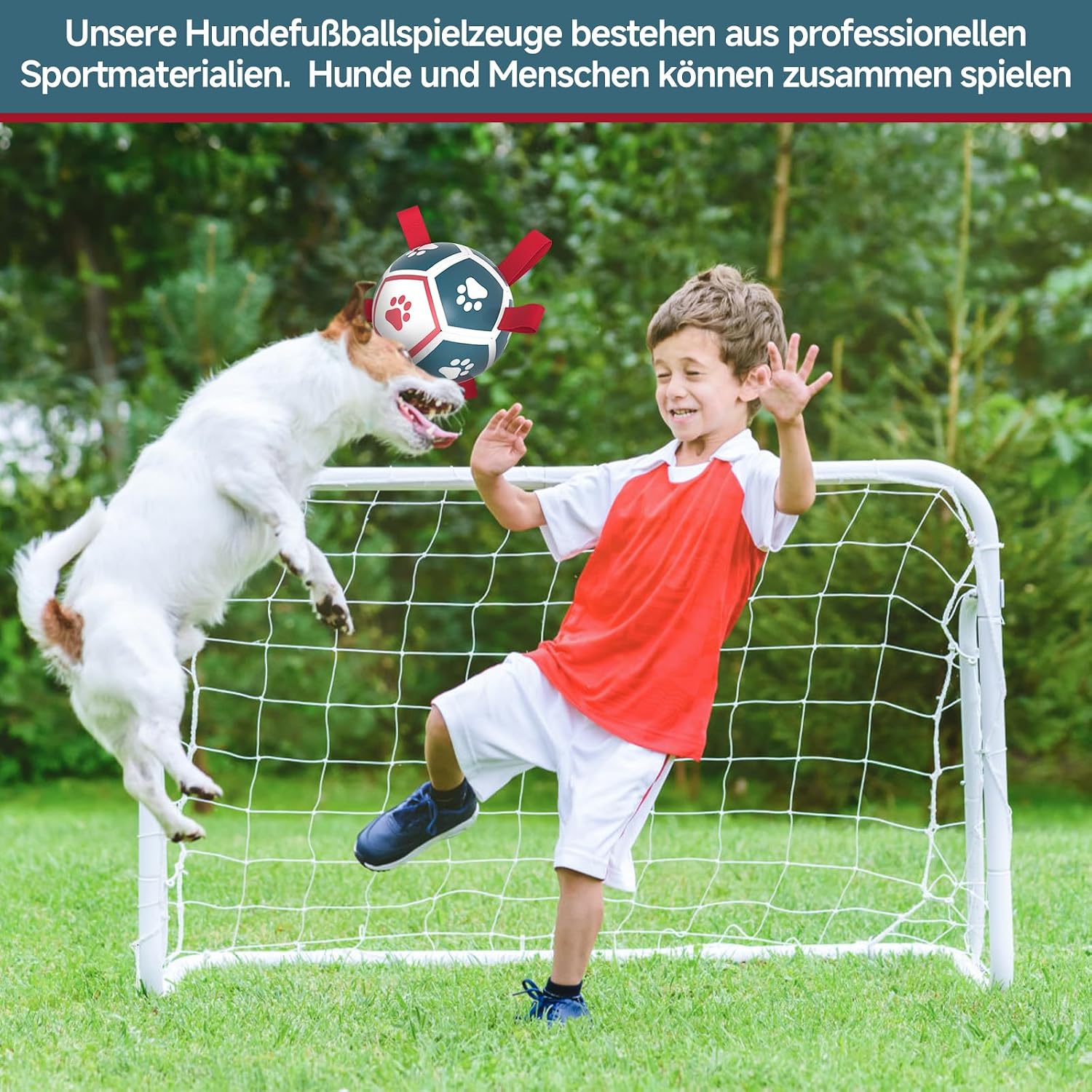 HETOO Hundeball mit Griff 8 Zoll Rot/Blau, interaktives Hundespielzeug S-XL