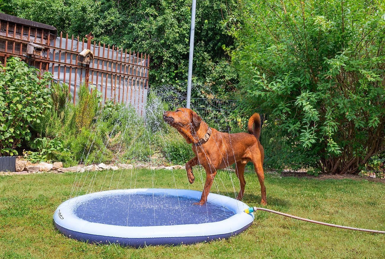 infactory Wasserspielmatte fuer Kinder und Hunde mit Schlauchanschluss PVC BPA-fr