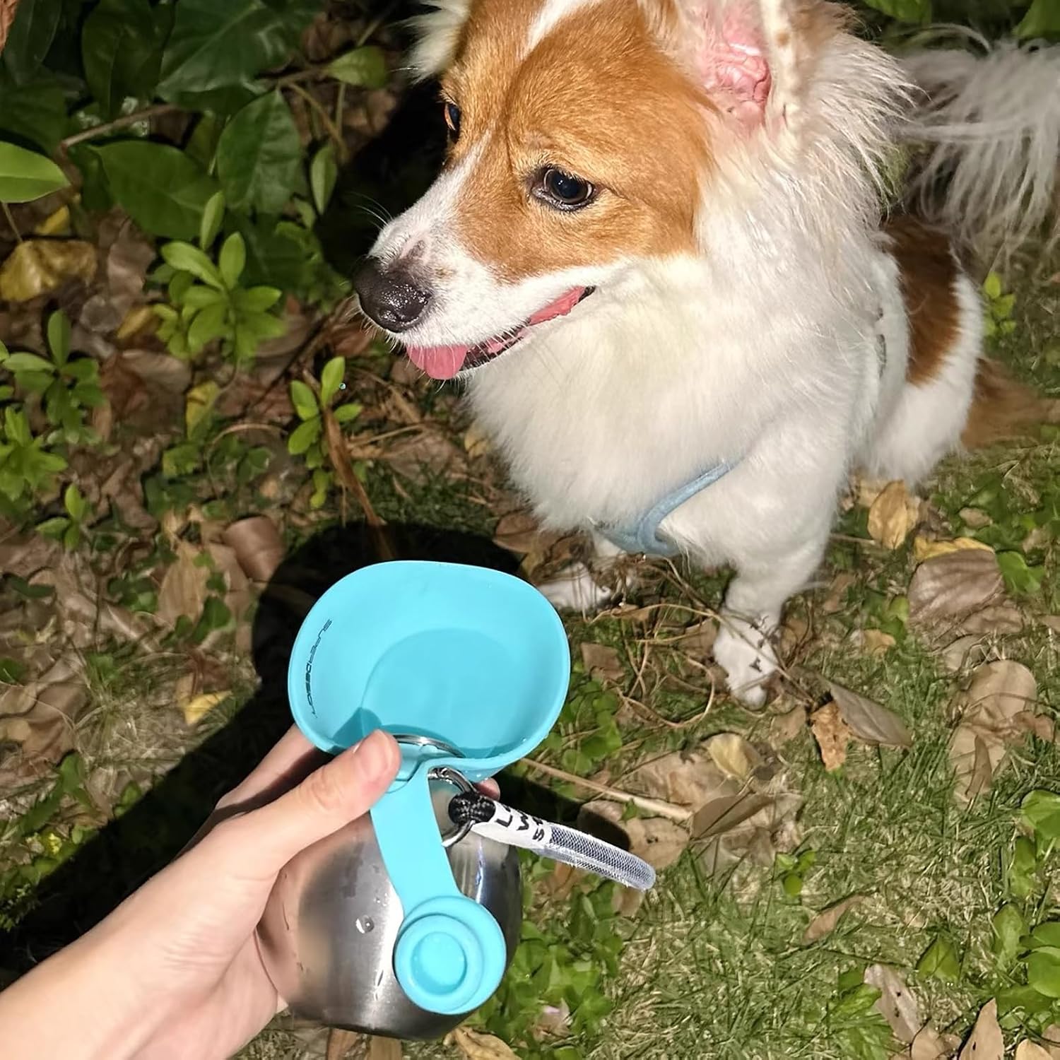 Tragbare Hundetrinkflasche Edelstahl mit faltbarem Silikonnapf Blau