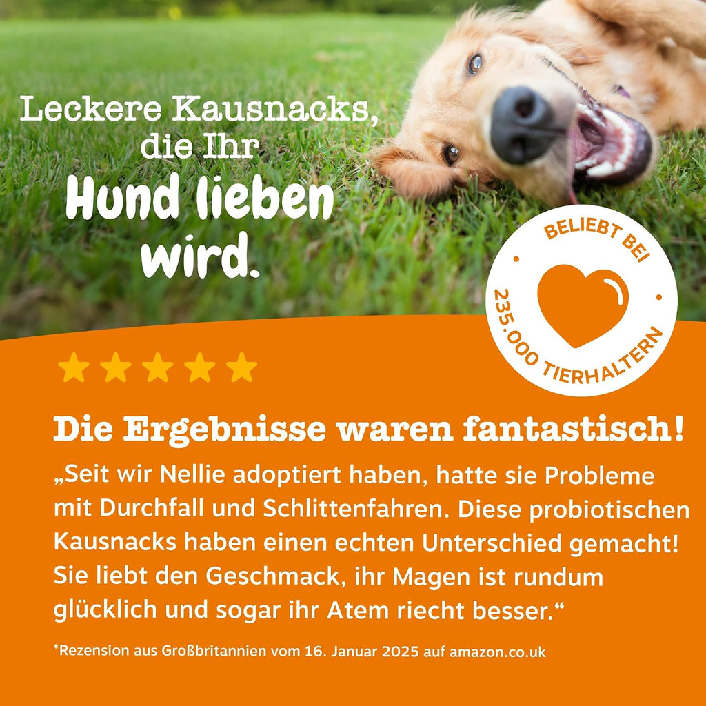 Zesty Paws Probiotika für Hunde 90 Kauleckerlis mit Kürbis & Leinsamen