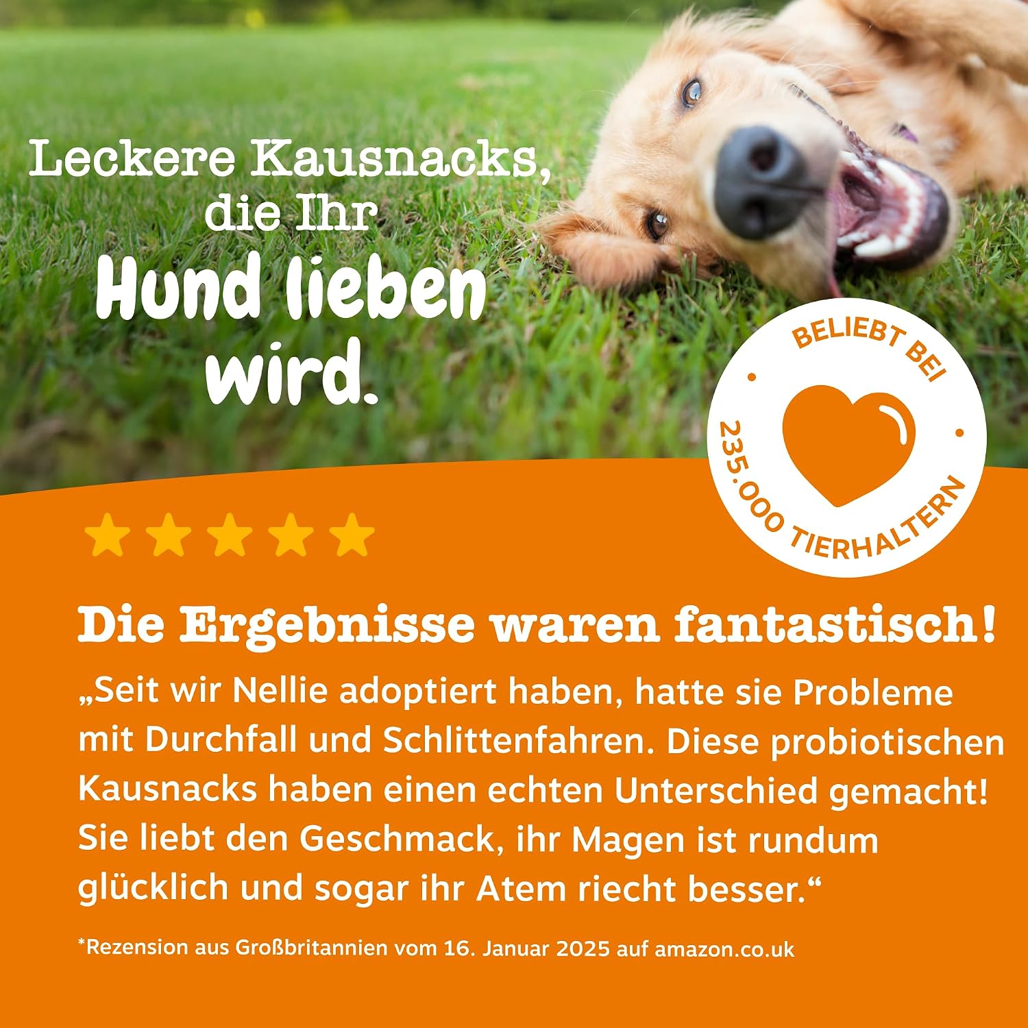 Zesty Paws Probiotika für Hunde 90 Kauleckerlis mit Kürbis & Leinsamen
