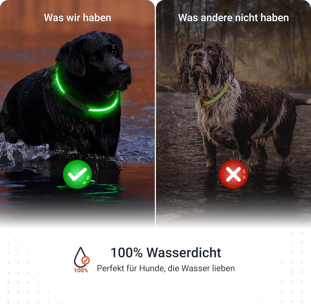 PAJ Light LED Hundehalsband cm verstellbar wasserfest schwarz, 7 Farben