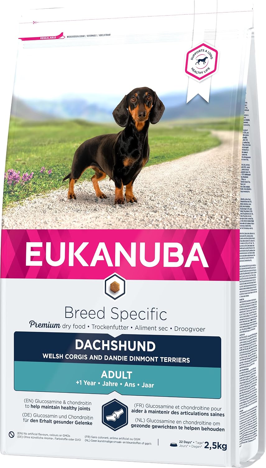 Eukanuba Breed Specific Dackel Trockenfutter - optimal auf die Rasse abgestimmte
