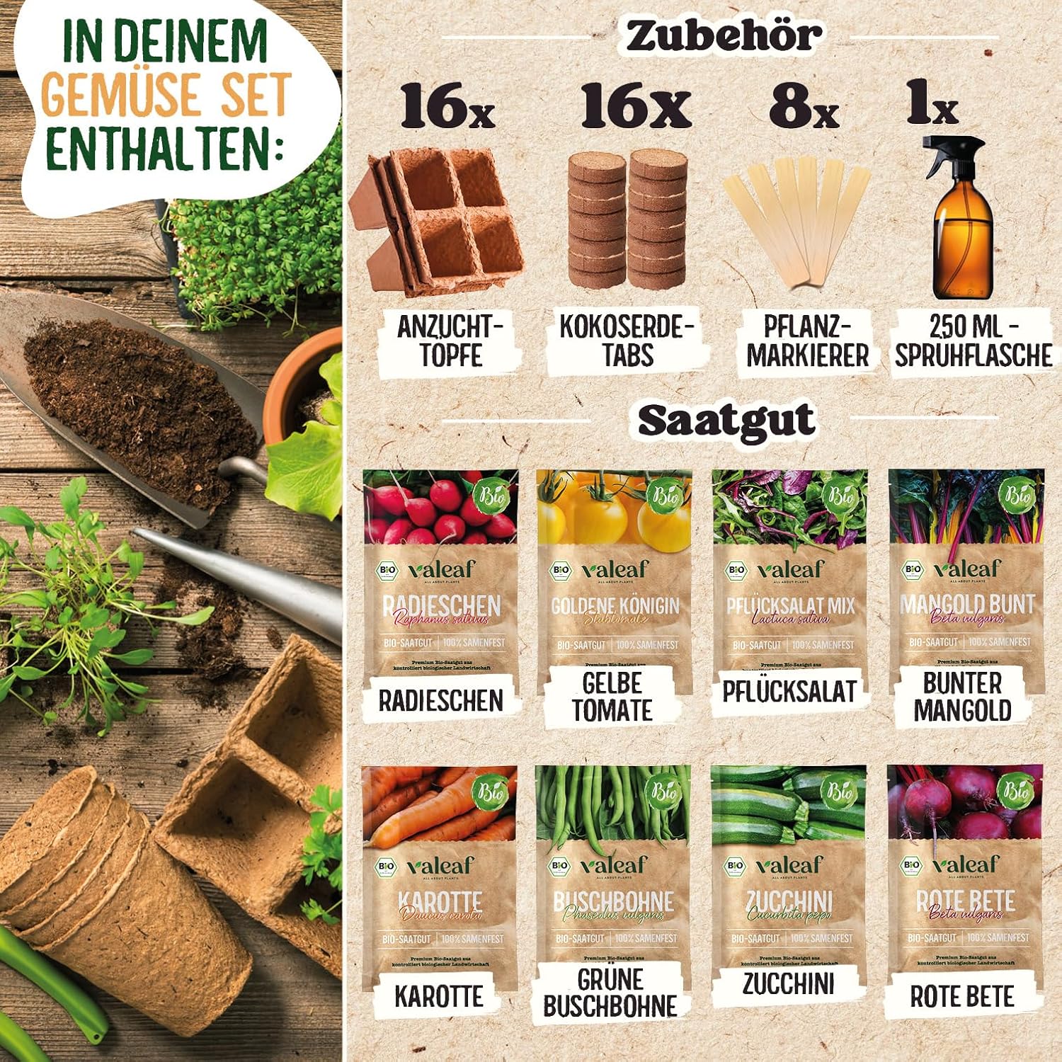 Bio Gemuese Samen Set 10 Sorten Anzuchtset Kinder Garten Pflanzset