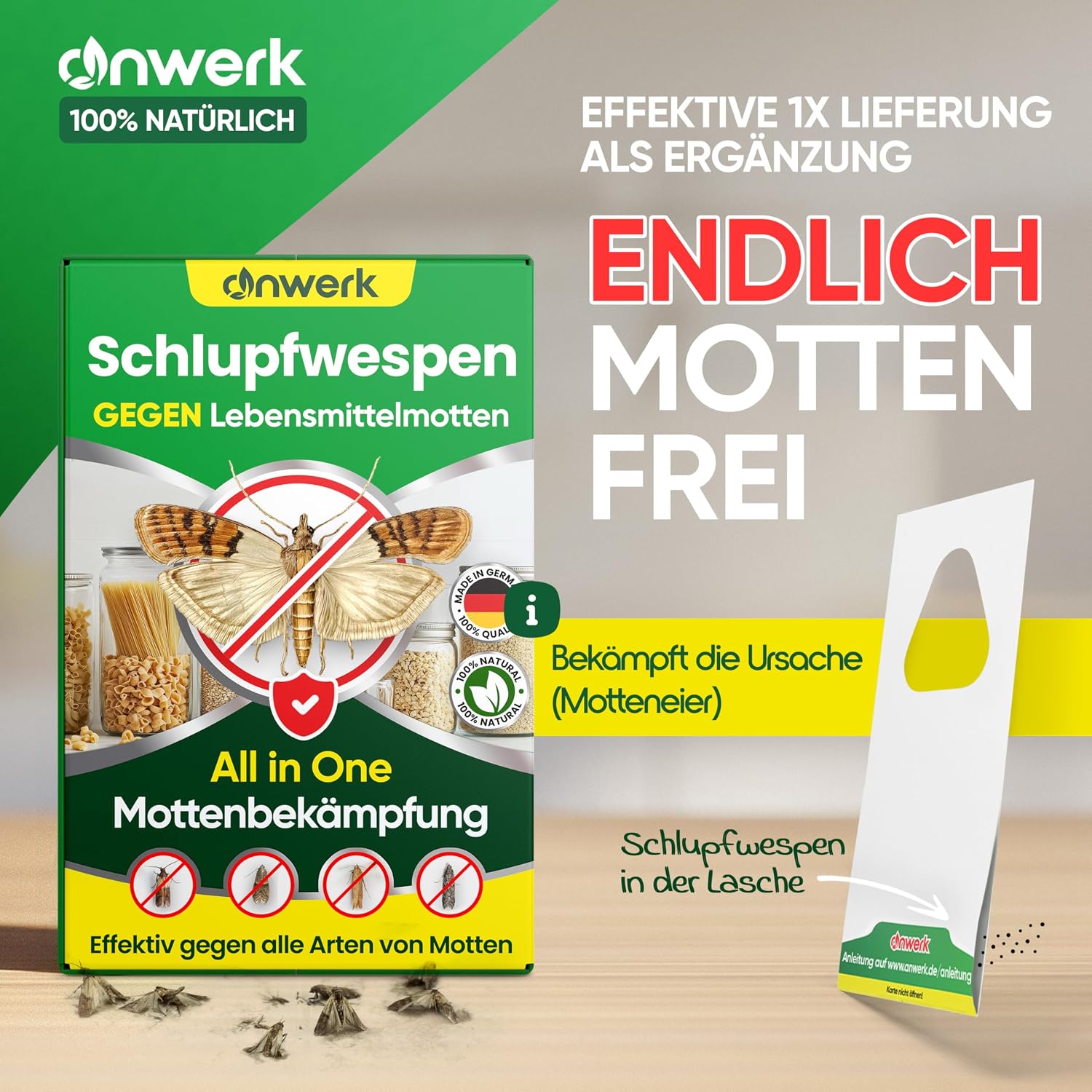 anwerk Schlupfwespen gegen Lebensmittelmotten 4 Karten á1 Lieferung