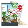 Plantura Nematoden gegen Trauermuecken zum Giessen 5 Mio fuer 5 m² (ca. 50 Pflanzen