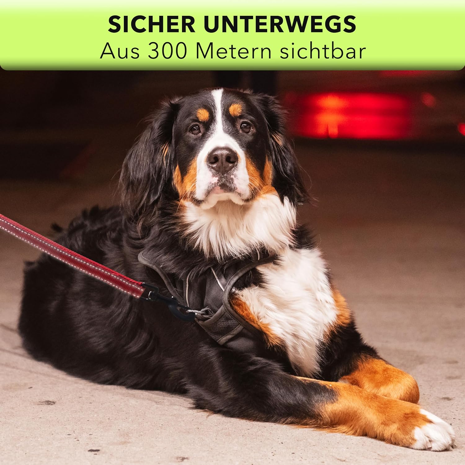 AVANA reflektierende Hundeleine 1,5 m mit Kurzfuehrer und gepolsterten Griffen