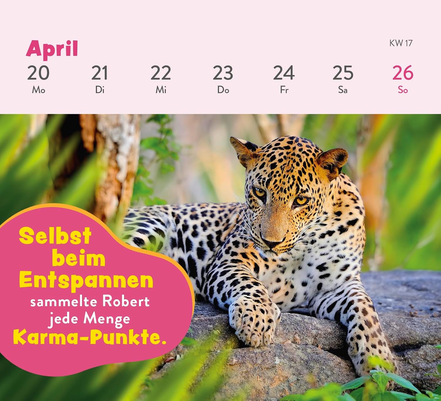 Mini Wochenkalender 2026 Tischkalender Tierisch Gechillt mit Tierfotos