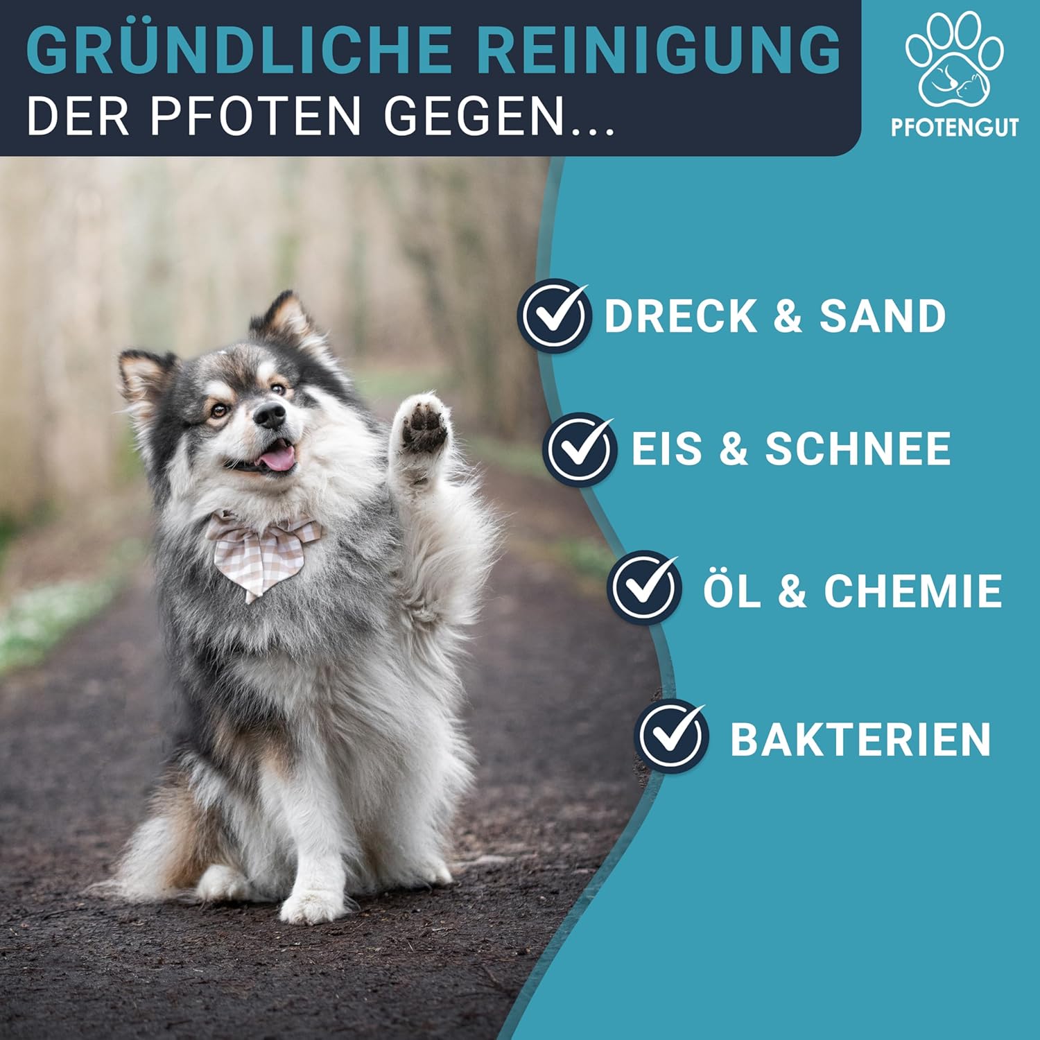 Pfotenreiniger Hunde Groesse S-L mit saugstarkem Mikrofaser-Handtuch S-L