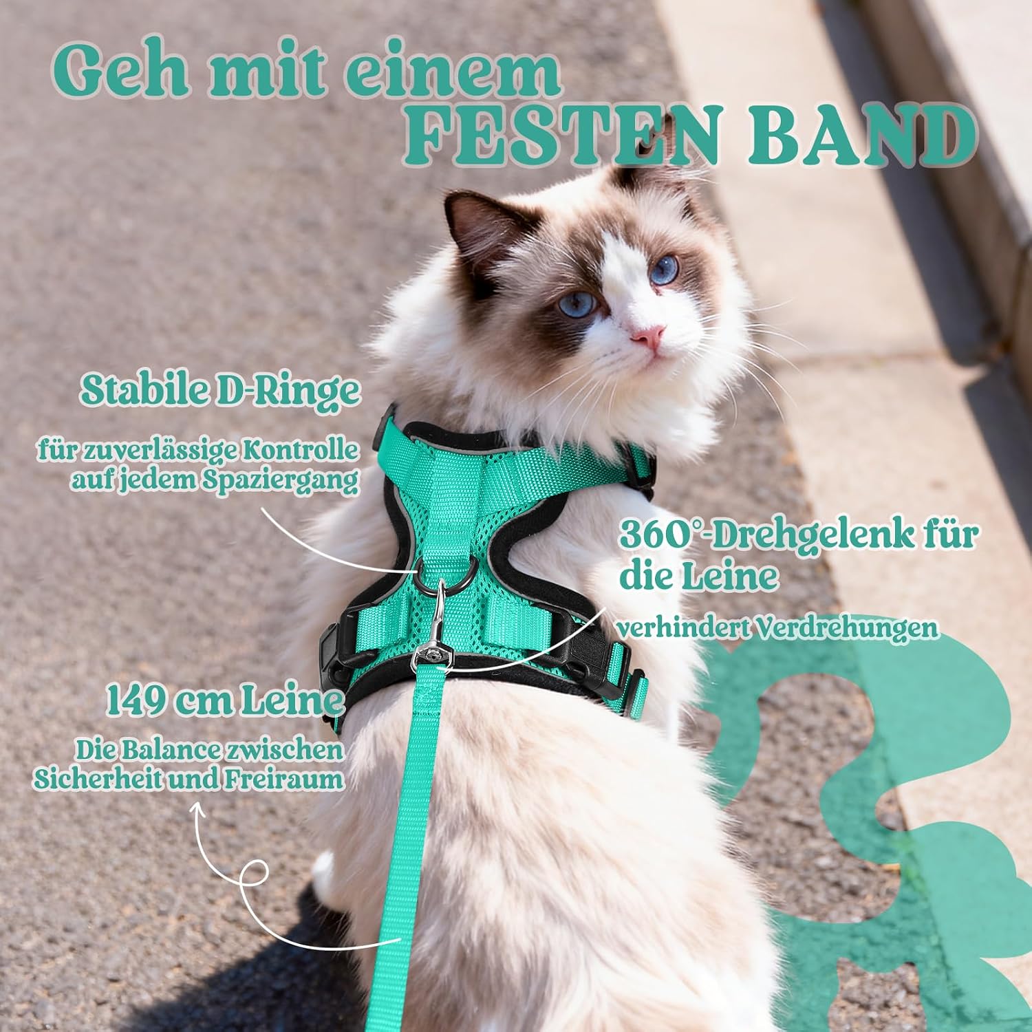 rabbitgoo Katzen Geschirr mit Leine verstellbar reflektierend weich XS Schwarz