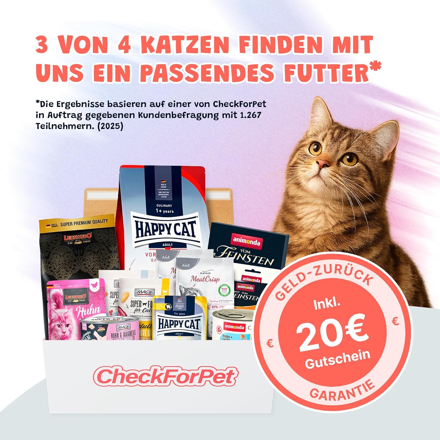 Katzenfutter Probierpaket Senior Nass und Trockenfutter fuer aeltere Katzen