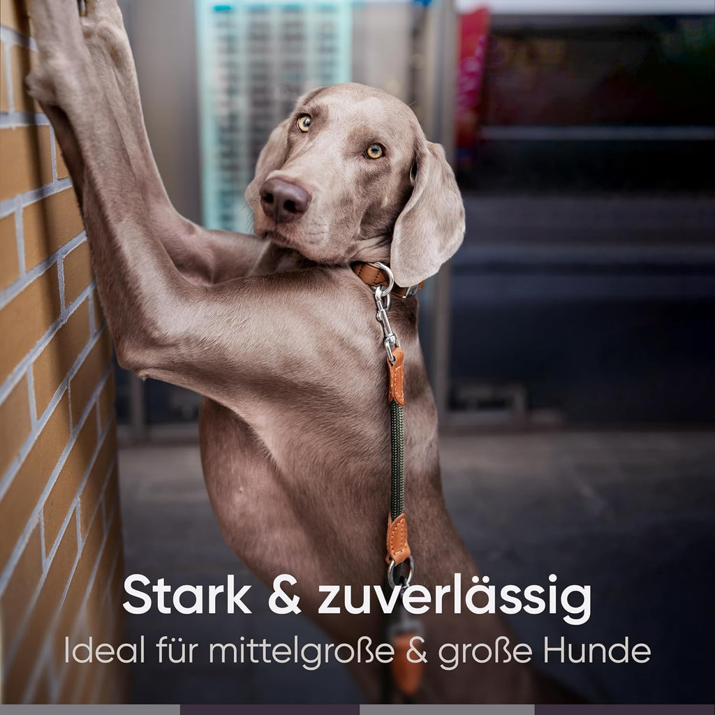 Freudentier verstellbare Hundeleine Nylon mit Lederoptik Schwarz 2m-3m