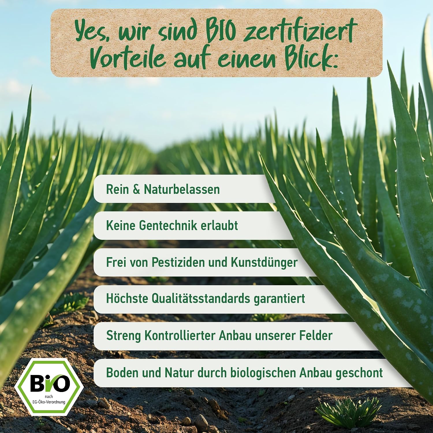Hyaluron Q10 Creme 100 ml Tages- und Nachtcreme Anti-Falten Bio