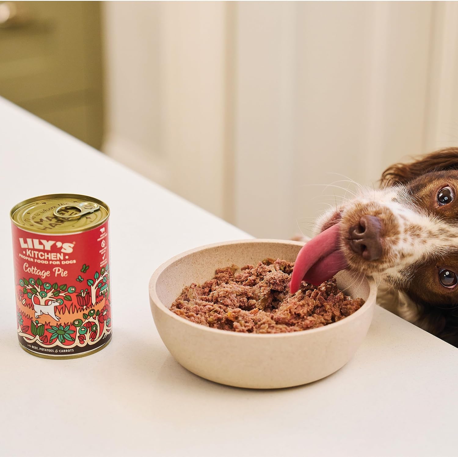 Lily's Kitchen Adult Hundefutter Cottage Pie Nassfutter 10x150g versc