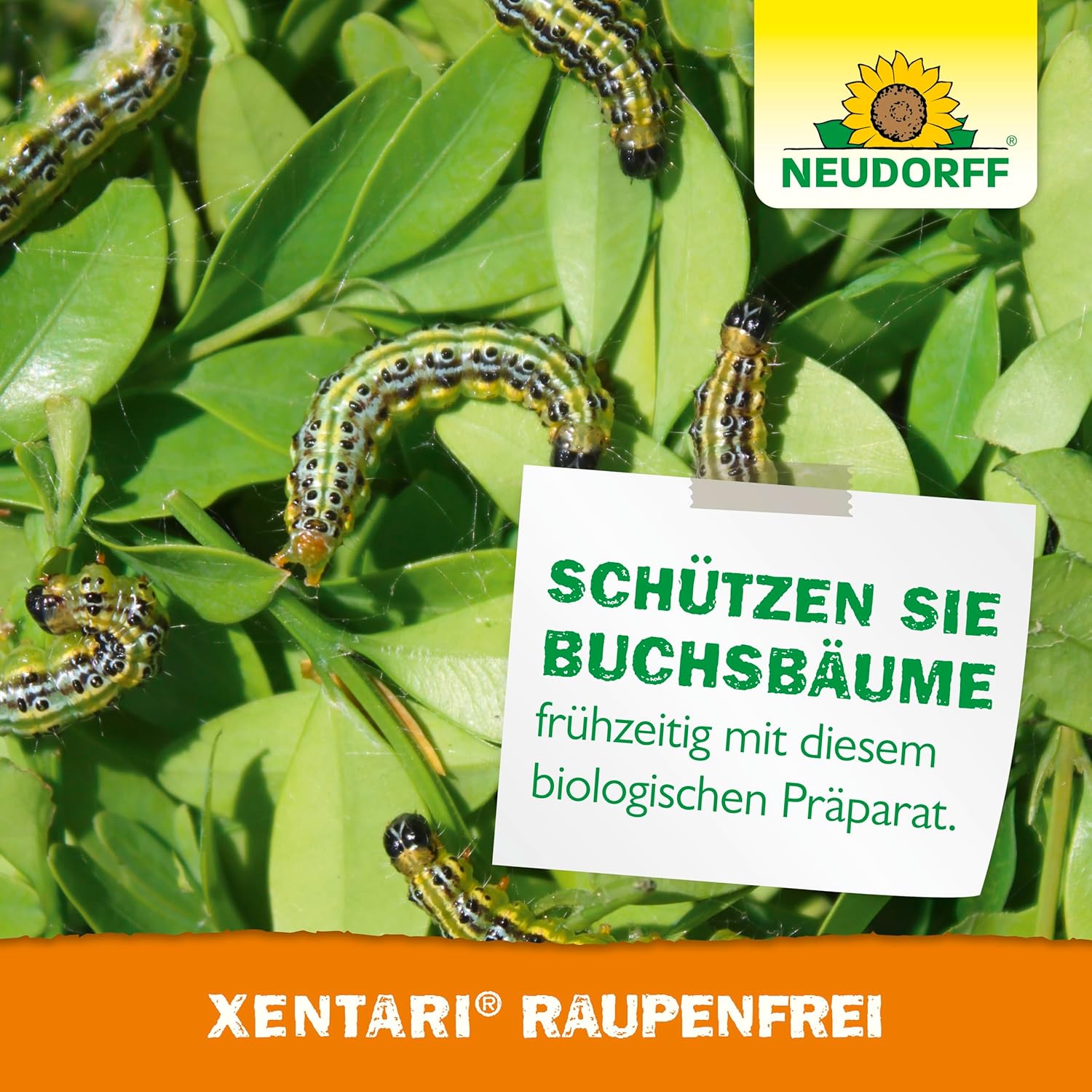 Neudorff Xentari RaupenFrei biologisches Insektizid fuer 500 m²