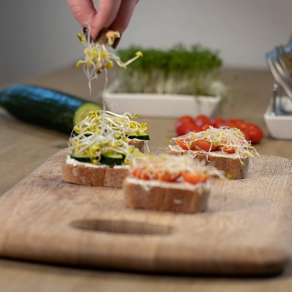 Bio Sprossensamen Set Microgreens Keimsamen Starterset Anzucht