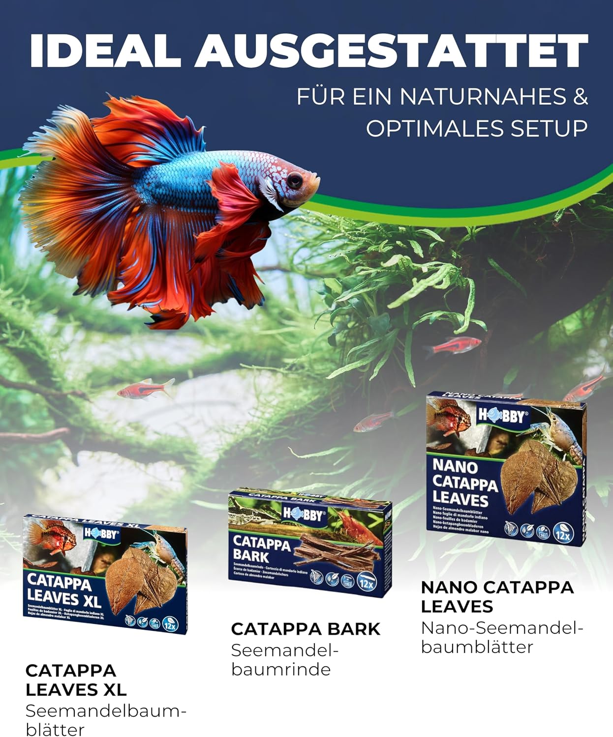 Hobby Catappa Bark Seemandelbaumrinde 12x Aquarium Garnelen Wasserzusatz
