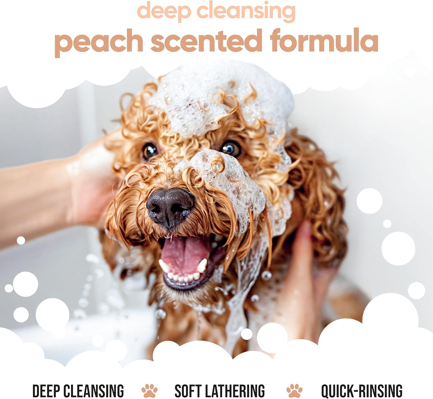 Buddycare Curly Coat entwirrendes Hundeshampoo 500 ml Pfirsichduft Aloe Vera