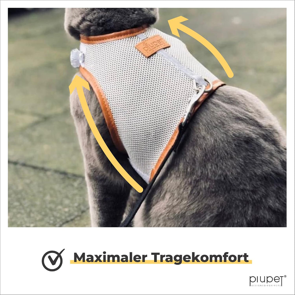 PiuPet Katzengeschirr M mit 1,2 m Leine, Anti-Ausbruch Halsband für Kätzchen