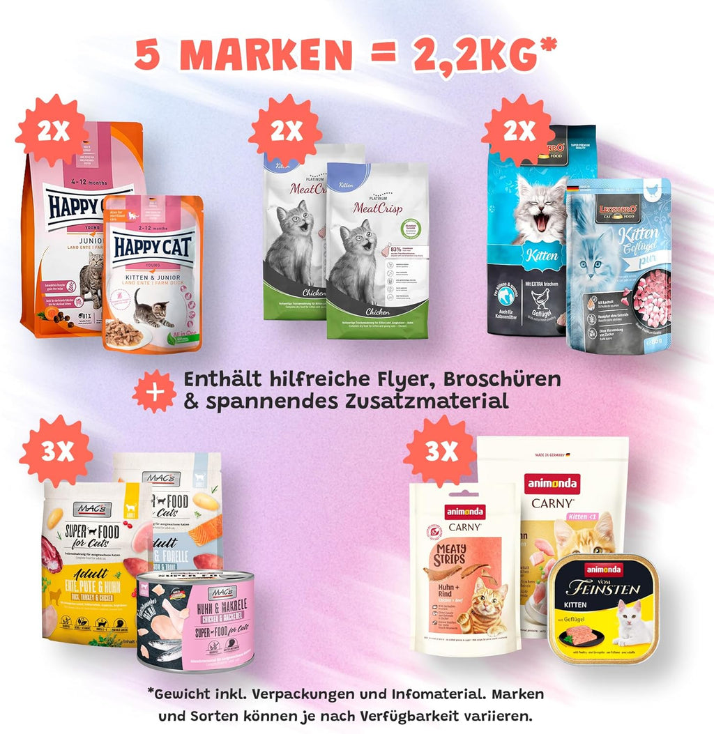 Katzenfutter Probierpaket Senior Nass und Trockenfutter fuer aeltere Katzen