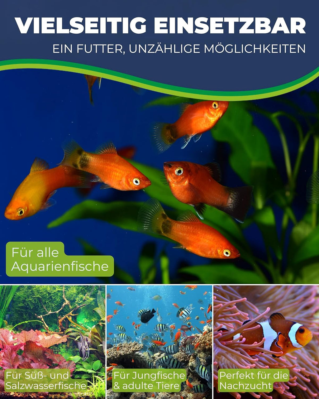 Hobby Artemia Aufzuchtschale Set mit Sieb Trennschale Dosierlöffel