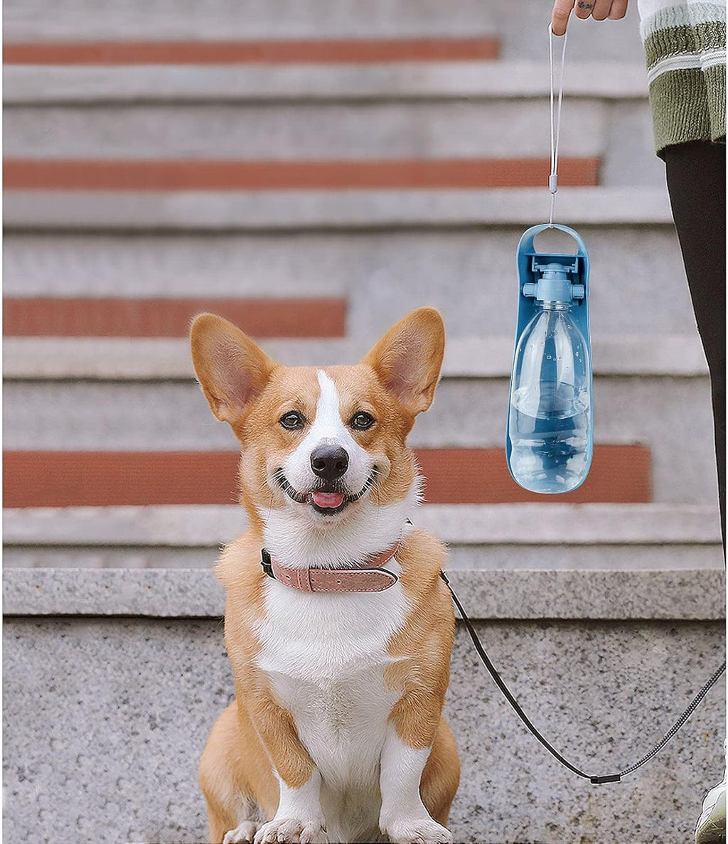 NAMSAN Hunde Trinkflasche 550 ml faltbar mit Napf unterwegs blau