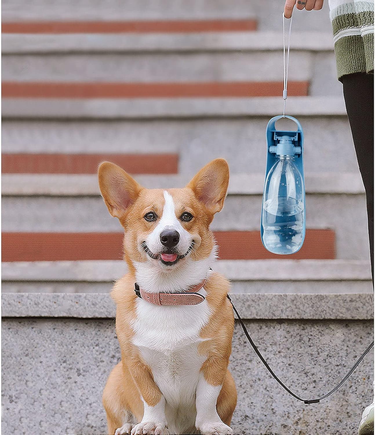 NAMSAN Hunde Trinkflasche 550 ml faltbar mit Napf unterwegs blau
