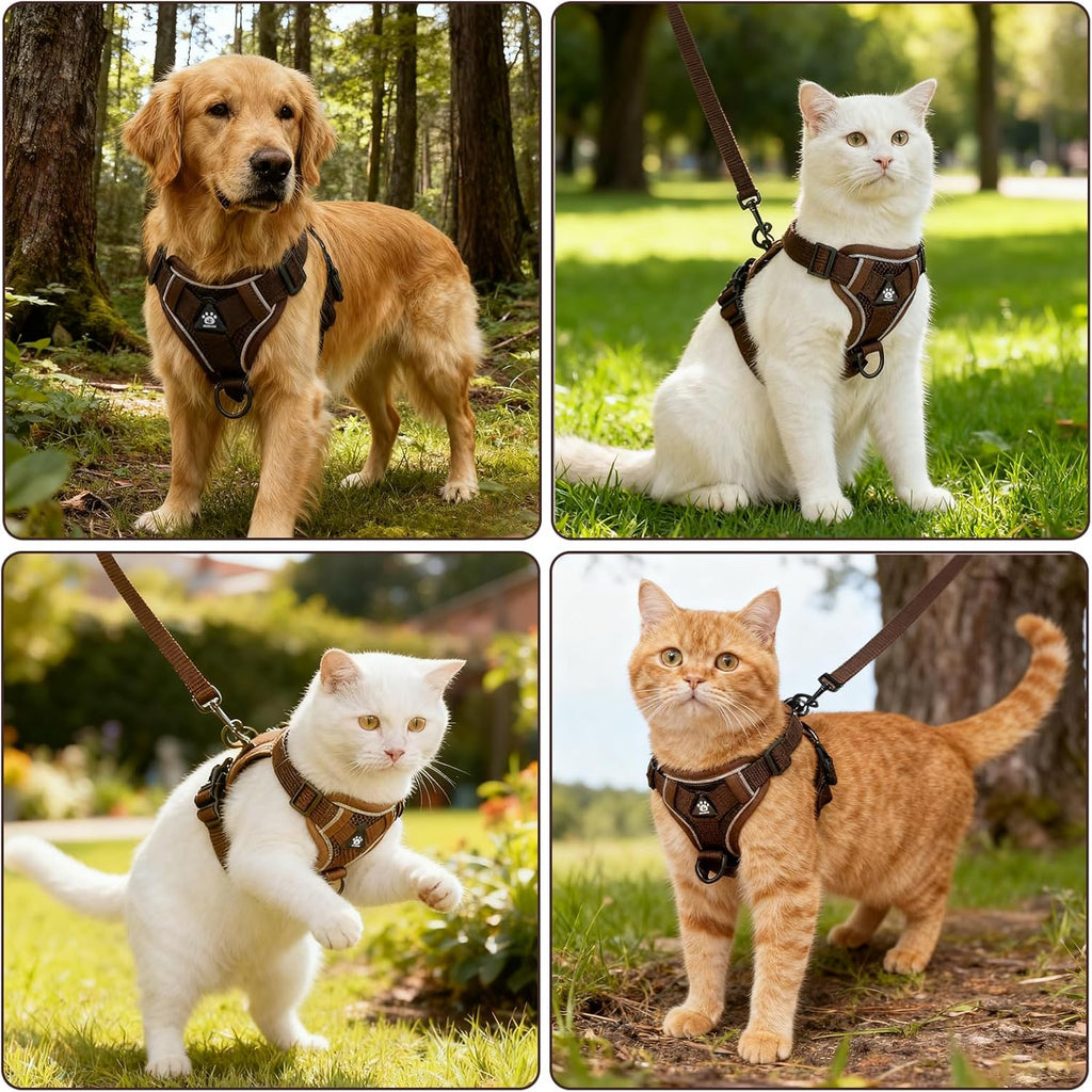 Katzengeschirr ausbruchsicher reflektierend mit Leine und Spielzeug